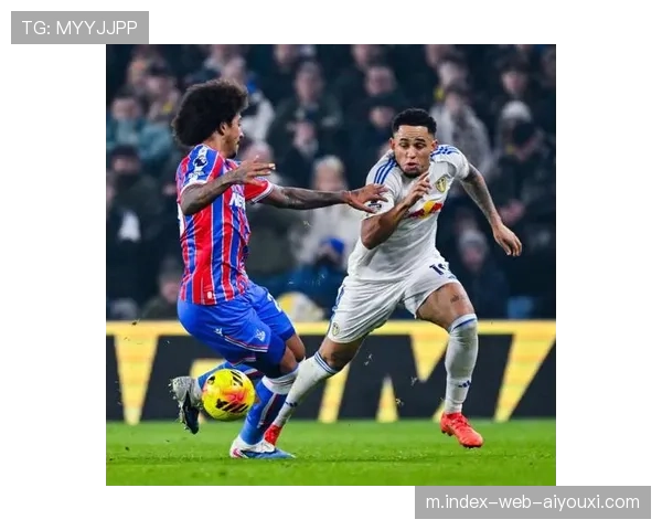 桑德兰迎战布莱顿升班马 新援磨合程度受考验